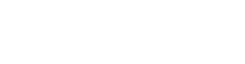 Anuubis Solutions, diseño web