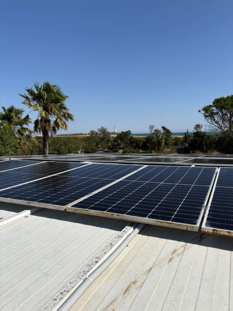 Paneles solares sobre cubierta blanca rodeados de palmeras