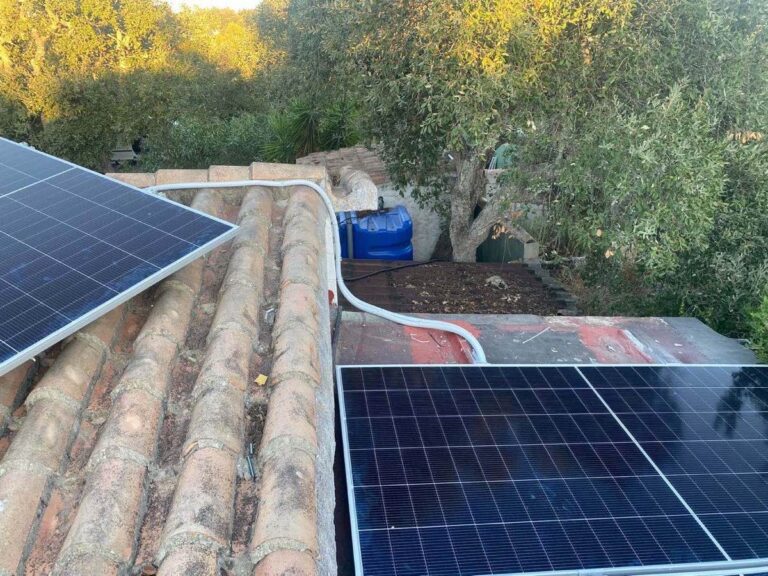 Placas solares sobre teja, entre olivos